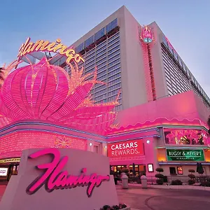 https://flamingo-las-vegas.las-vegashotels.net